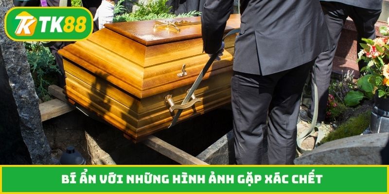 Bí ẩn với những hình ảnh gặp xác chết