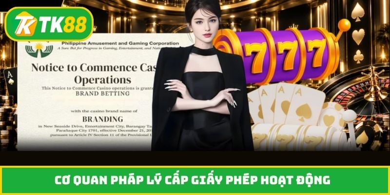Cơ quan pháp lý cấp giấy phép hoạt động