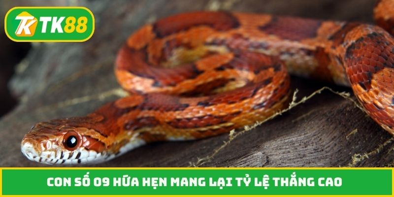 Con số 09 hứa hẹn mang lại tỷ lệ thắng cao