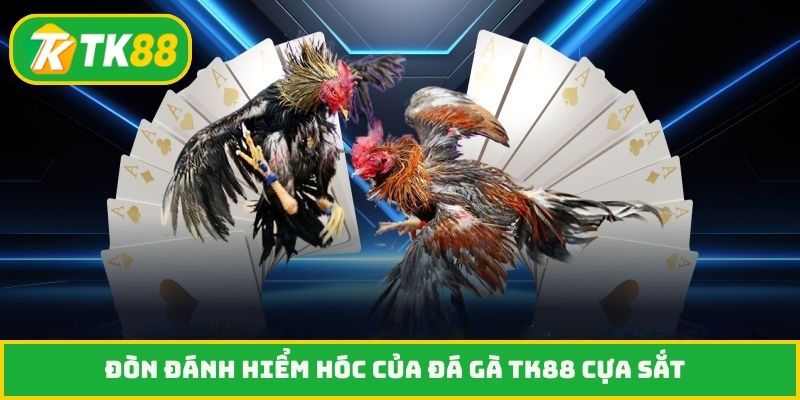 Đòn đánh hiểm hóc của đá gà TK88 cựa sắt