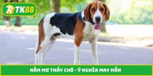 Nằm mơ thấy chó