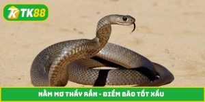 Nằm mơ thấy rắn
