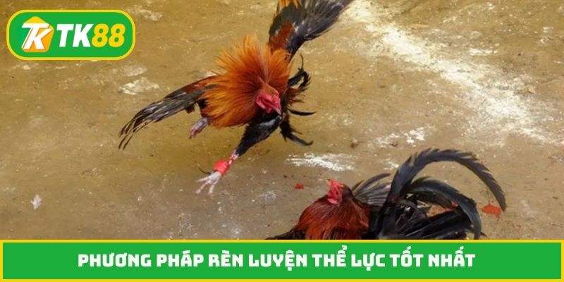 Phương pháp rèn luyện thể lực tốt nhất