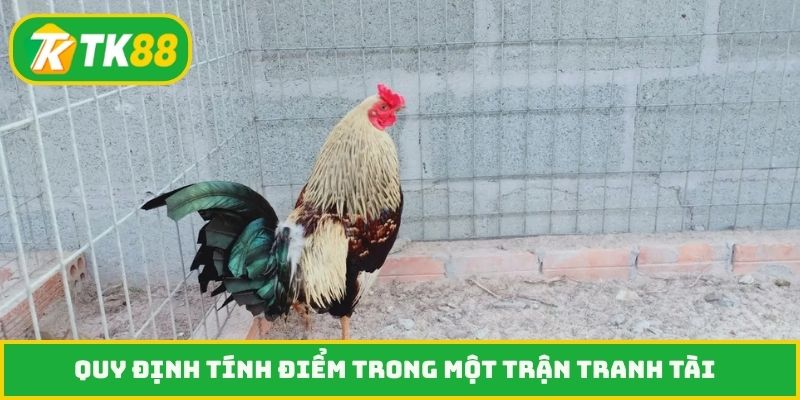 Quy định tính điểm trong một trận tranh tài