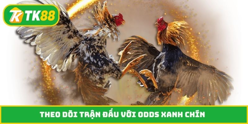 Theo dõi trận đấu với odds xanh chín