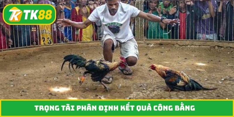 Trọng tài phân định kết quả công bằng